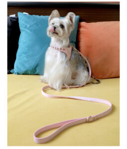 AH-027Bling Harness_14