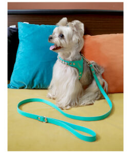 AH-027Bling Harness_17