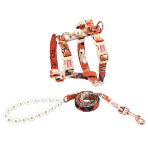 Harness & Leash